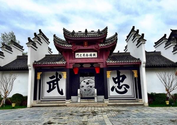 把盐碱地变成米粮川（自然之子）